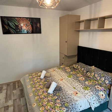 Select Apartament Bvd Stefan Cel Mare Jászvásár Kültér fotó